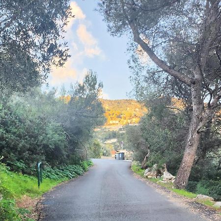 Le Mas D'Angeline, Vue Mer, Jardin Commun, Parking, Voiture Requise, 10 Min En Voiture De Monaco, Route Etroite, Pente Raide, Croisement Limite, Sea View, Shared Garden, Parking, Car Required, 10 Min Drive From Monaco, Narrow Steep Road, Limited Pass Beausoleil Exterior photo