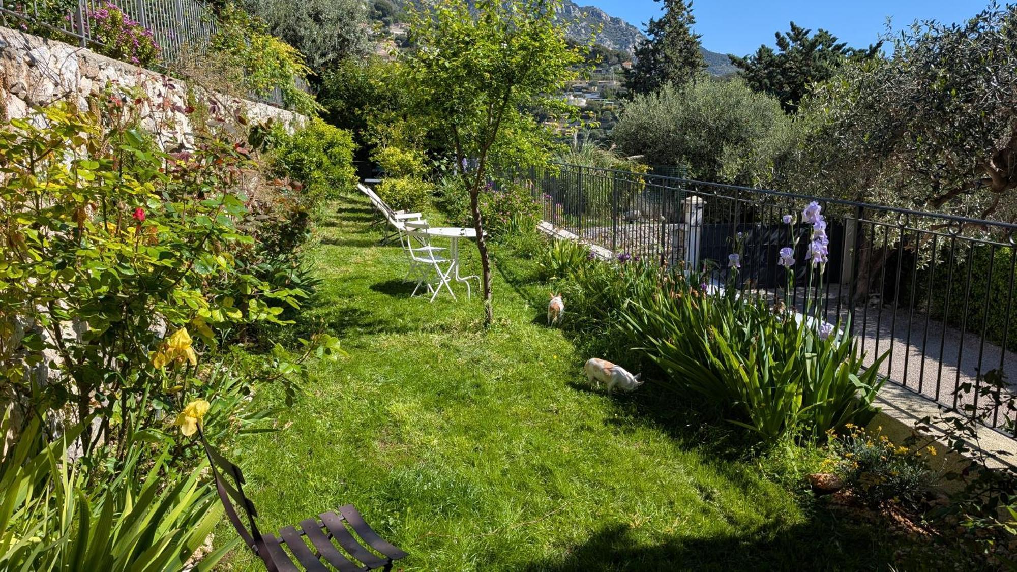 Le Mas D'Angeline, Vue Mer, Jardin Commun, Parking, Voiture Requise, 10 Min En Voiture De Monaco, Route Etroite, Pente Raide, Croisement Limite, Sea View, Shared Garden, Parking, Car Required, 10 Min Drive From Monaco, Narrow Steep Road, Limited Pass Beausoleil Exterior photo